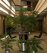 Sims Law Firm Building Interior